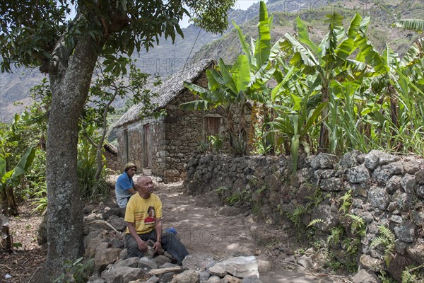 Banana farmers in Paul Valley