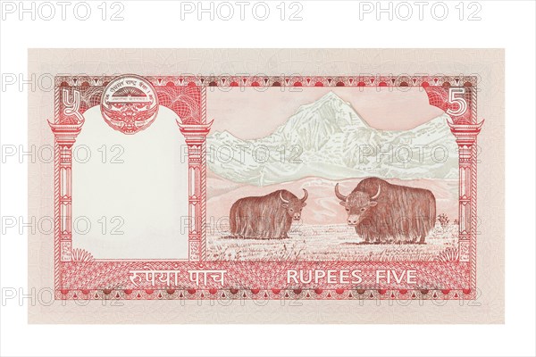 Nepalese five rupee banknote