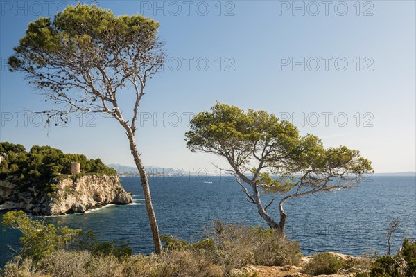 At Cap de Cala Figuera