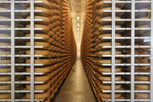 Bregenzerwalder Kasekeller cheese cellar for Alpine cheese