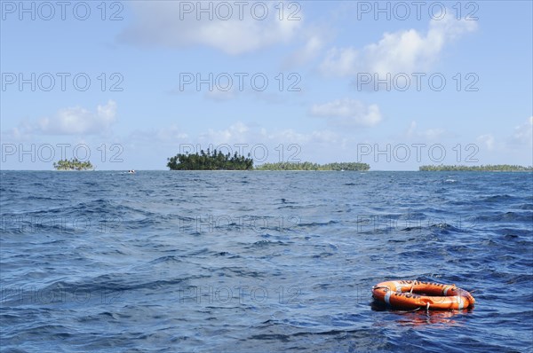 Tropical islands with palm trees