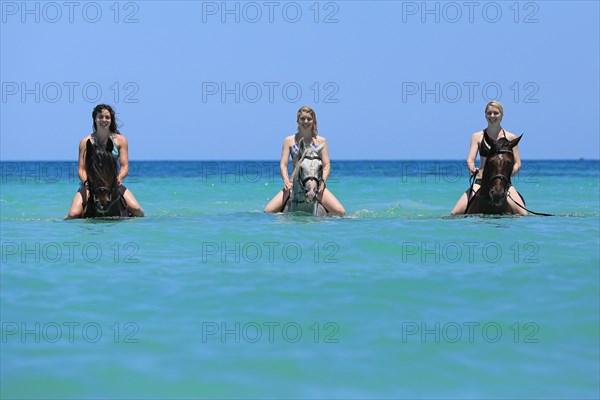 Three women wearing bikinis riding Barb horses in the sea