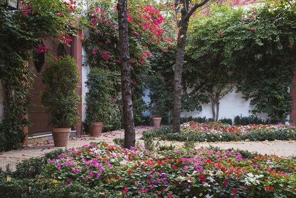 Verdant patio in the mansion Casa de Pilatos