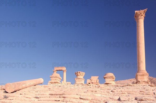 Ruins of the ancient city of Palmyra in the morning light