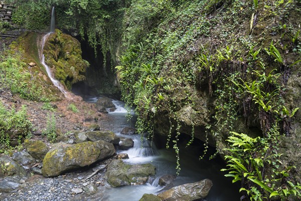 Cave in the ravine of the Salentze River