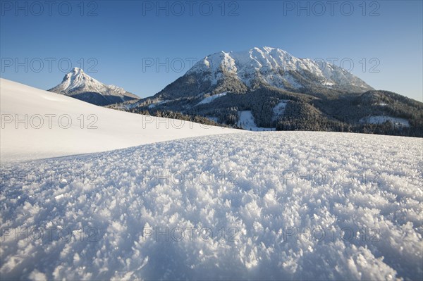 Ice crystals in a winter landscape