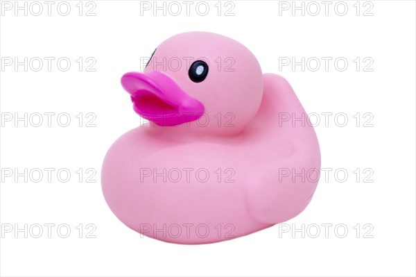 Pink rubber duck