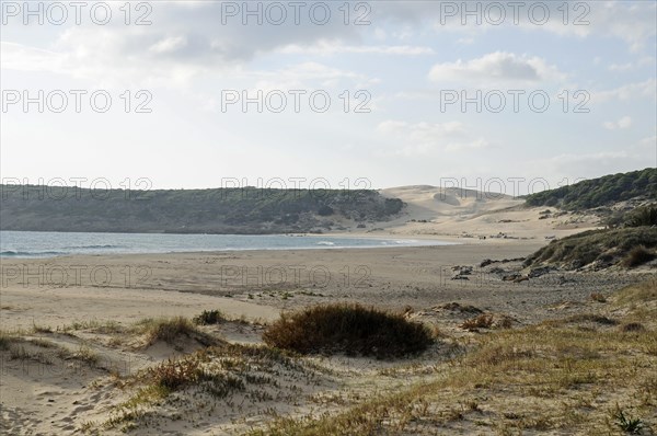 Playa de Bolonia