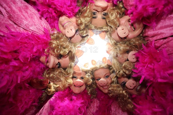 Miss Piggy costumes