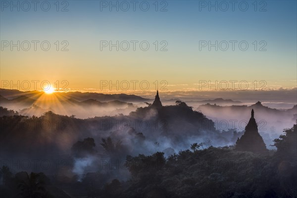 Pagodas surrounded by trees