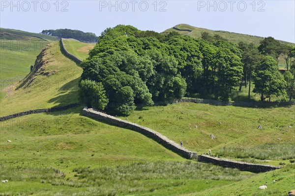 Hadrian's Wall meandering through the landscape
