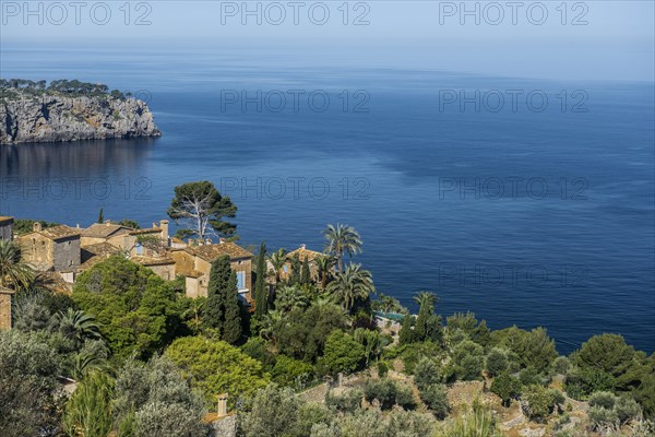 Houses by the sea
