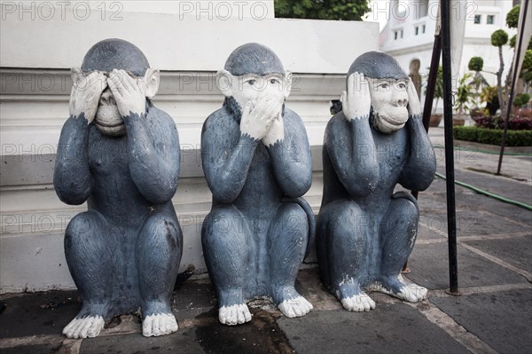 Three monkeys