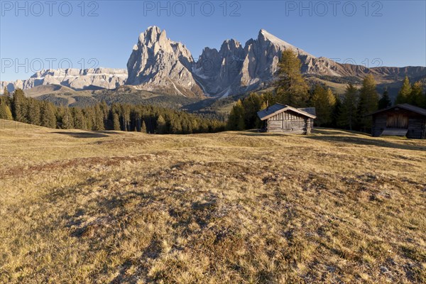 Alpe di Siusi mountain pasture