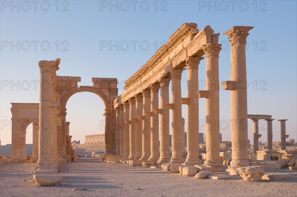 Ruins of the ancient city of Palmyra in the morning light