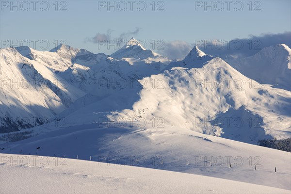 Winter landscape