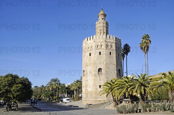 Torre del Oro