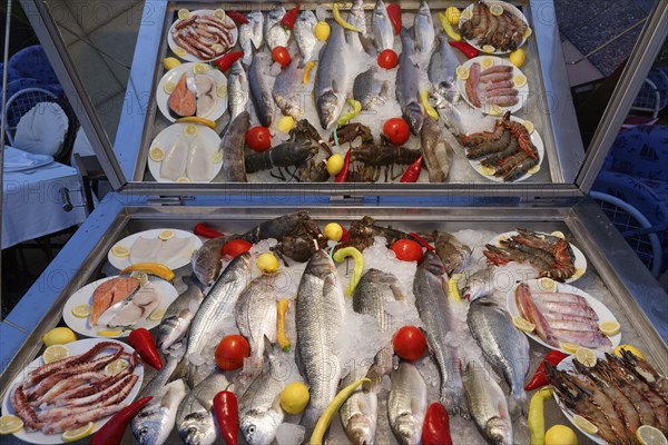 Fish on display at a restaurant