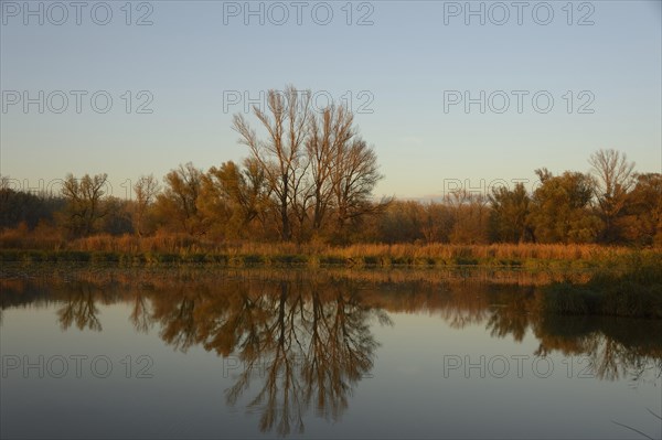 Landscape in the evening light