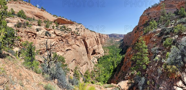 View into the Betatakin Canyon