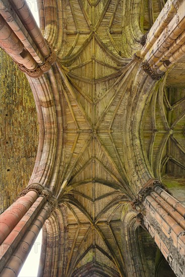 Ceiling vault in the ruins of the Cistercian monastery of Melrose Abbey