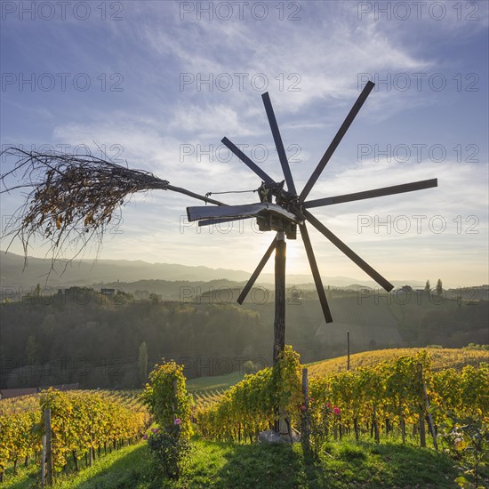 Klapotetz bird scarer and a vineyard in the evening light