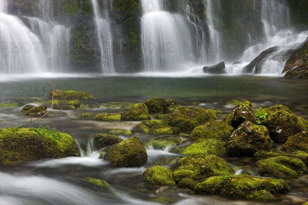 Brook with moss-covered stones