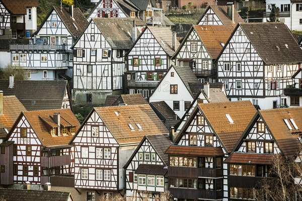 Half-timbered houses