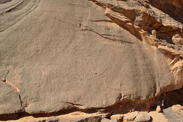 Rock engraving of an Elephant