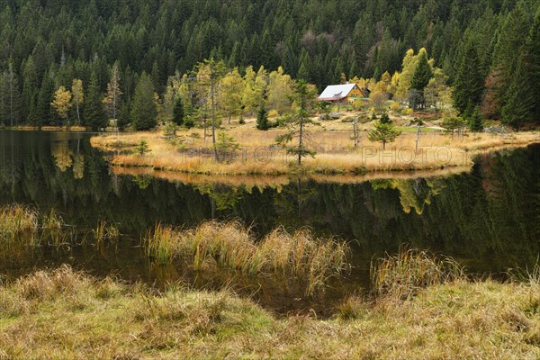 Naturschutzgebiet Kleiner Arbersee nature reserve with restaurant