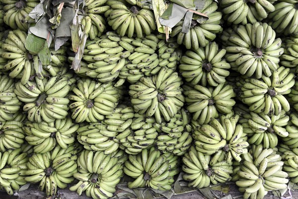 Bananas for sale