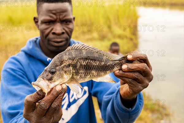 African shows caught fish