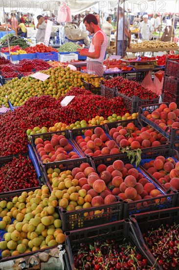 Fruit seller at the farmer's market