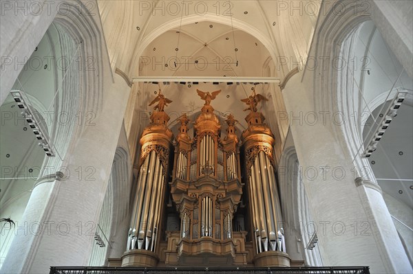 Vaulted ceiling with Flentrop organ