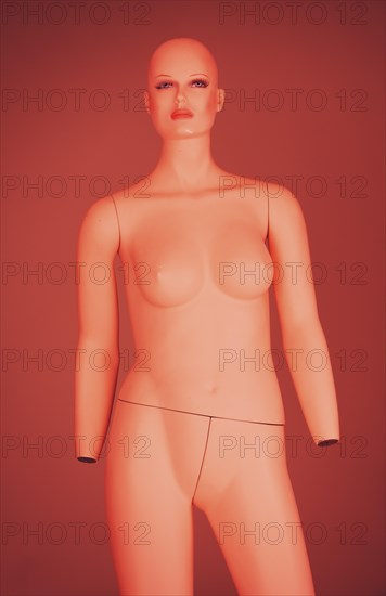Nude female mannequin