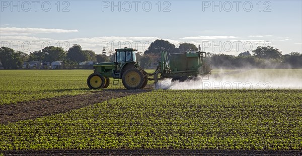 A tractor driver sprays pesticide on a crop