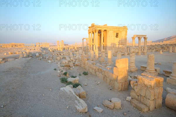 Ruins of the ancient city of Palmyra in the morning light