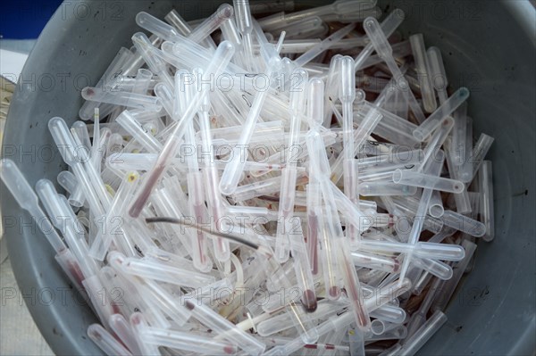 Used test tubes and pipettes with blood samples in a waste container