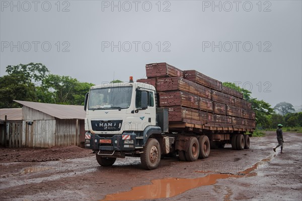 Tropical timber on a truck