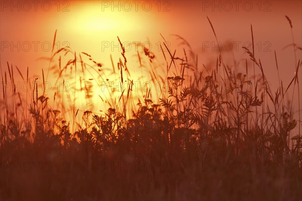 Sunrise on the Lower Weser River