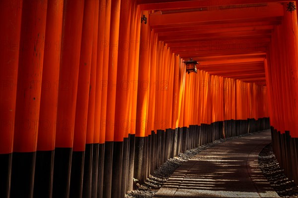 Walkway with torii leading to the inner shrine