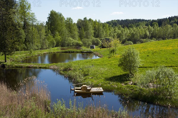 Landscape with ponds