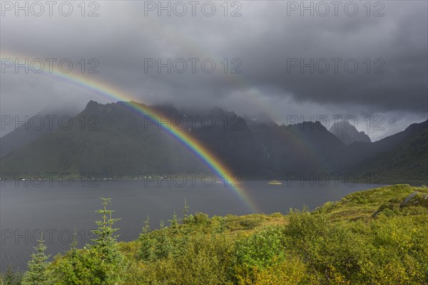 View from a lookout towards mountains and a fjord