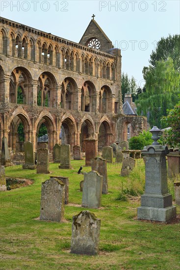 The ruins of Jedburgh Abbey