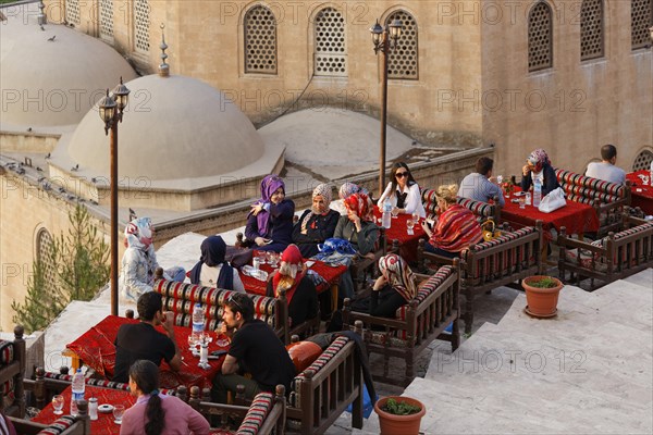 Tea garden above Dergah mosque