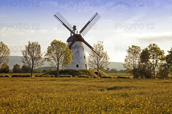 Windmill Veltheim