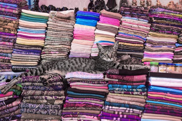 Cat lying on piles of fabric