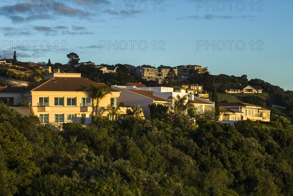 Houses in the morning light