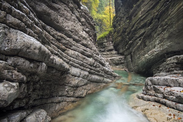 The Taugl river