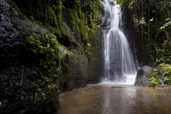 Waterfall in the rainforest